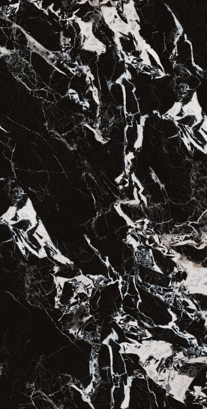 1020SR1165 拿破仑黑