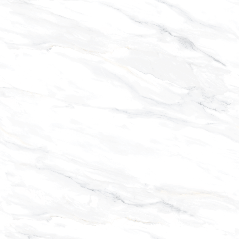 1212GT1103 鱼肚白