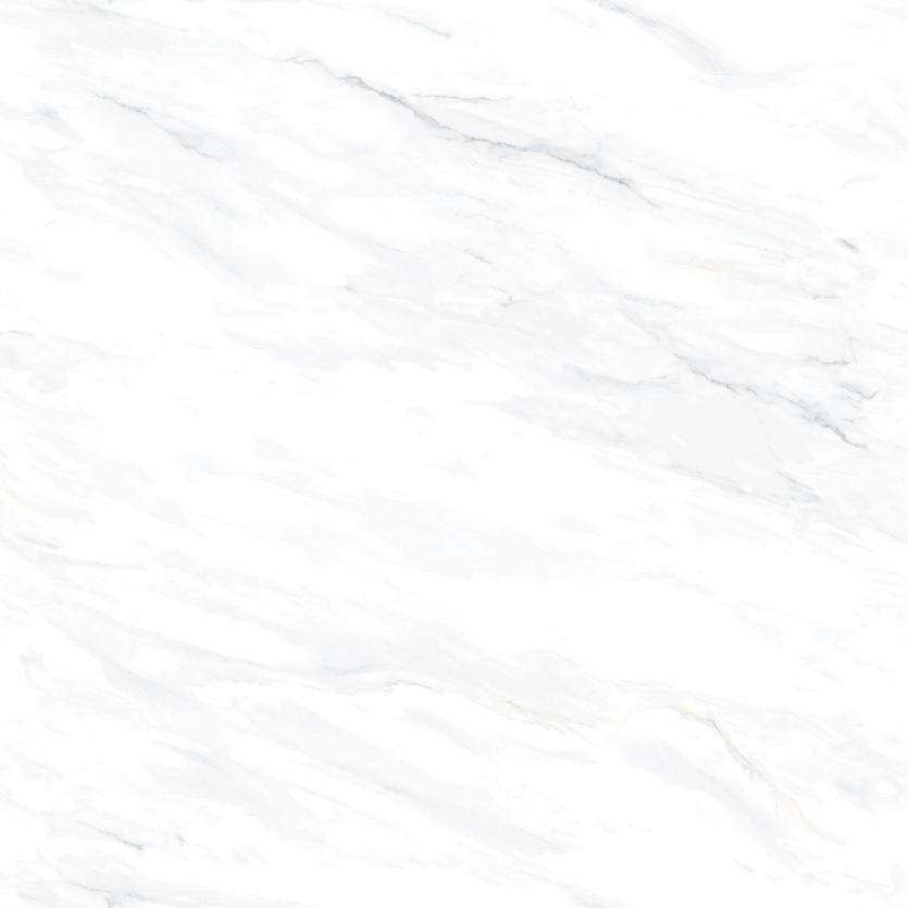 1212GT1103 鱼肚白