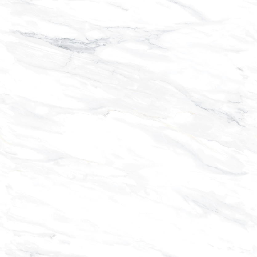 1212GT1103 鱼肚白