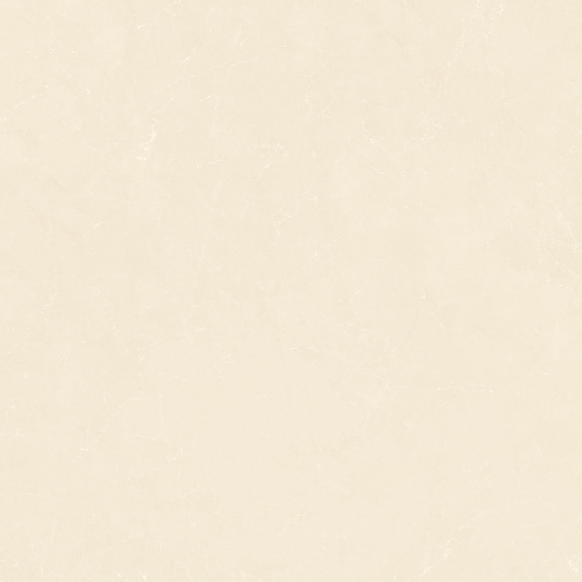 1212GT1106 经典莎安娜