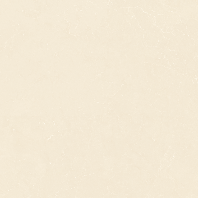 1212GT1106 经典莎安娜