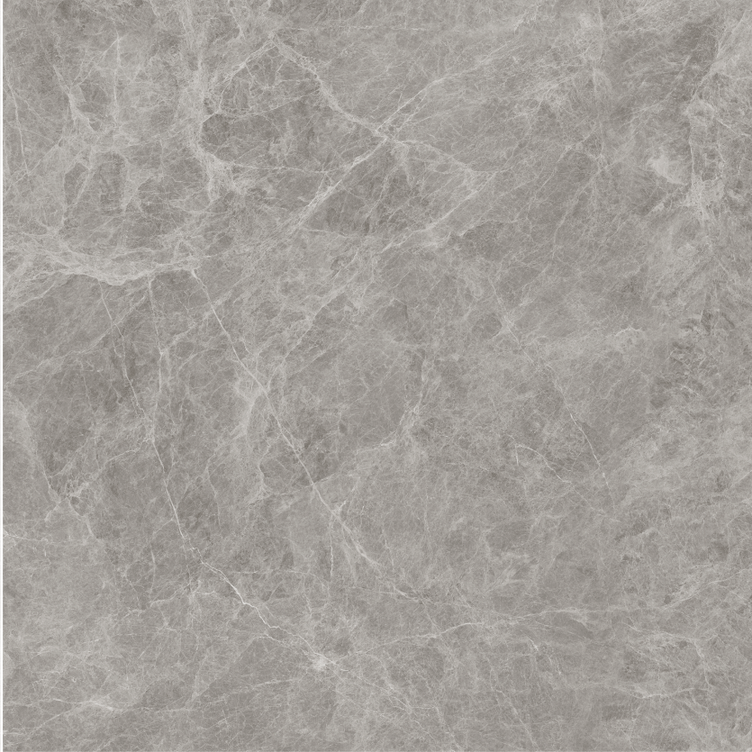 1212GT1109 凯恩斯灰 