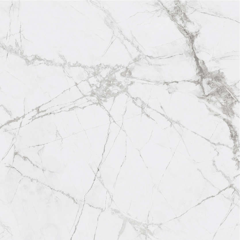 1212GT1112 寒江雪 