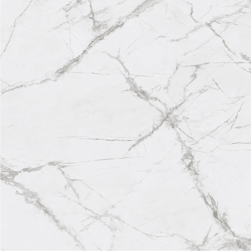 1212GT1112 寒江雪 