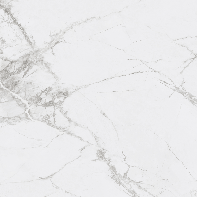 1212GT1112 寒江雪 