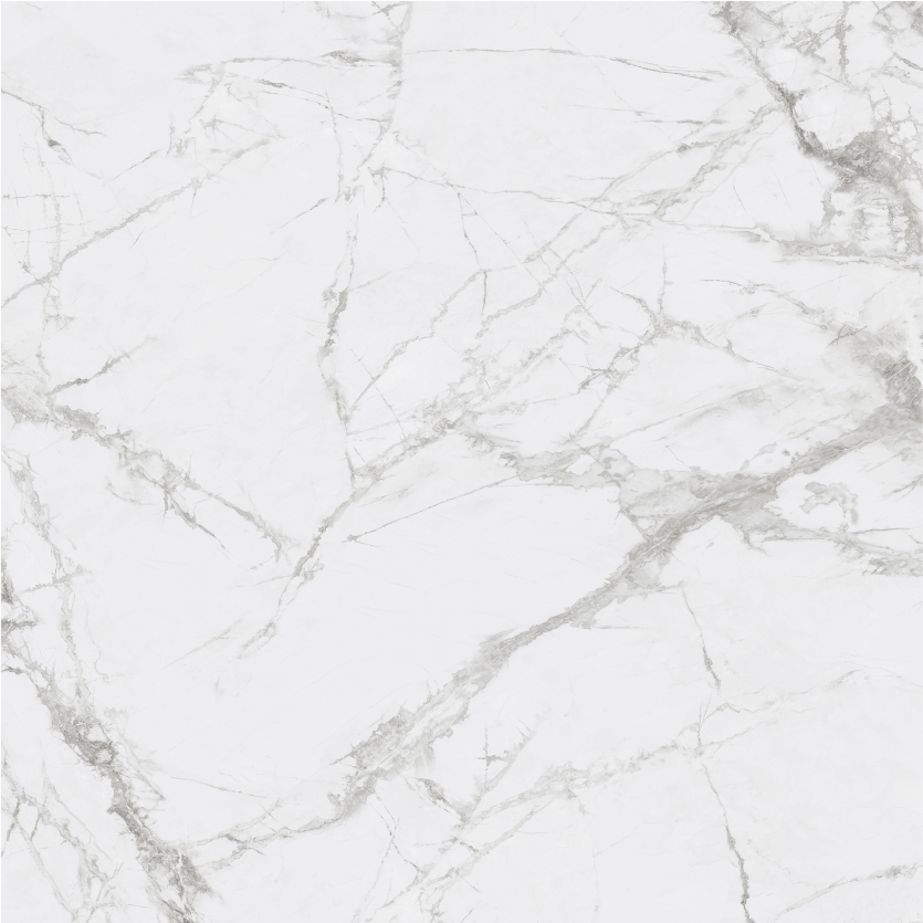 1212GT1112 寒江雪 