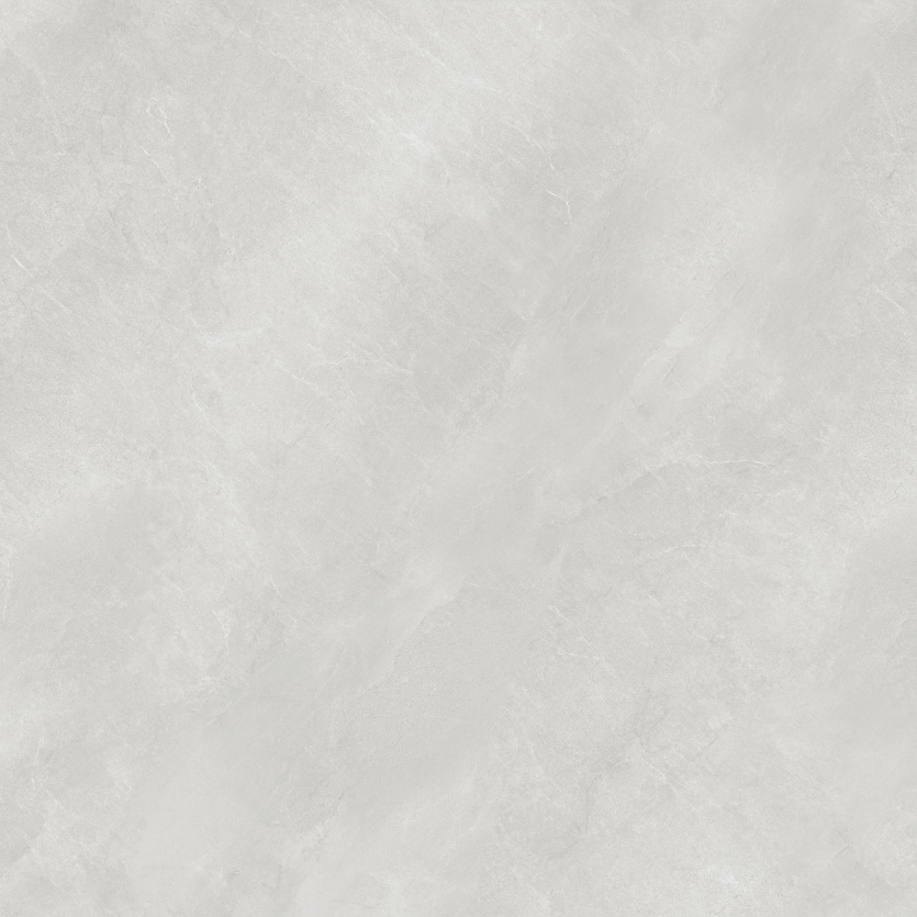 1212NS1033 博洛尼亚