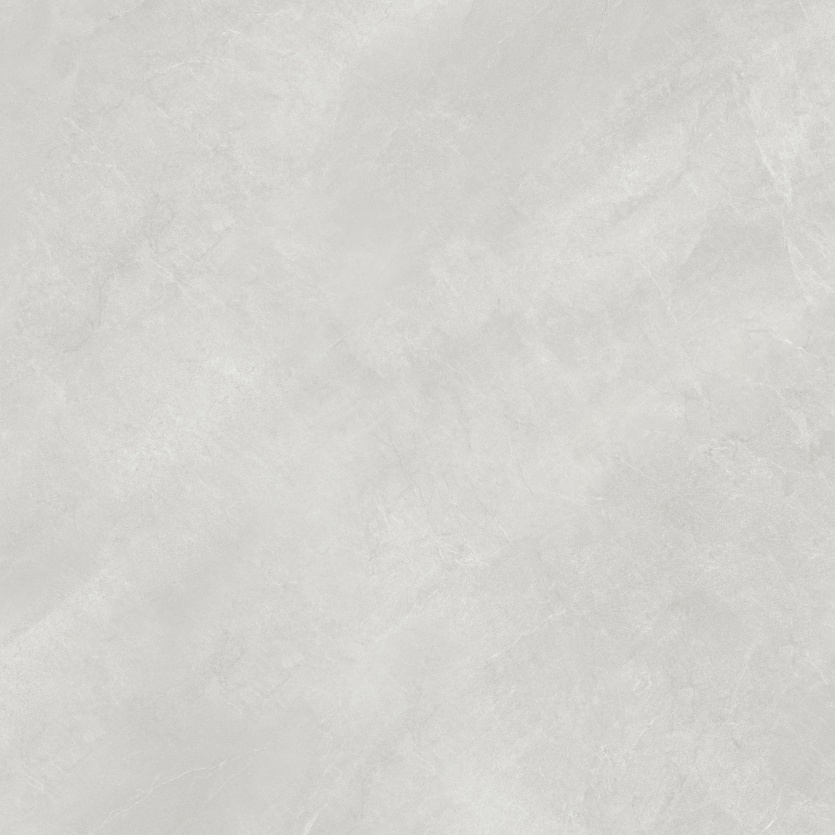 1212NS1033 博洛尼亚