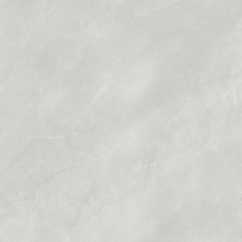 1212NS1033 博洛尼亚