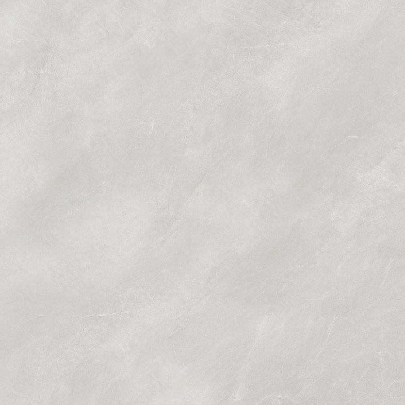 1212NS1033 博洛尼亚