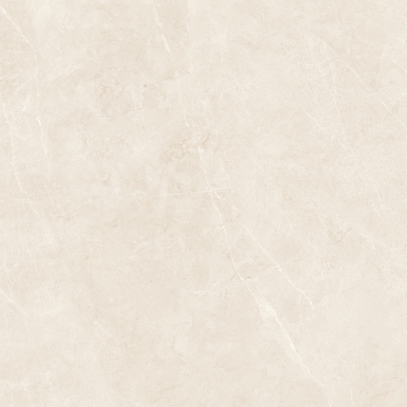 1212NS1069 巴宝莉米黄 