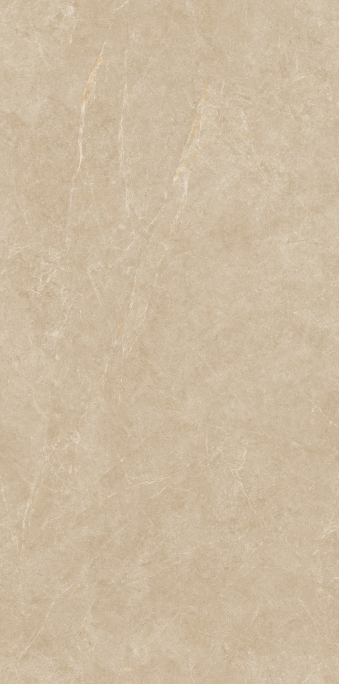 JM61203 撒哈拉黄 