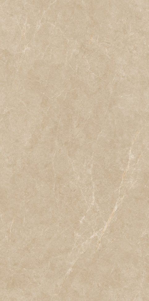 JM61203 撒哈拉黄 