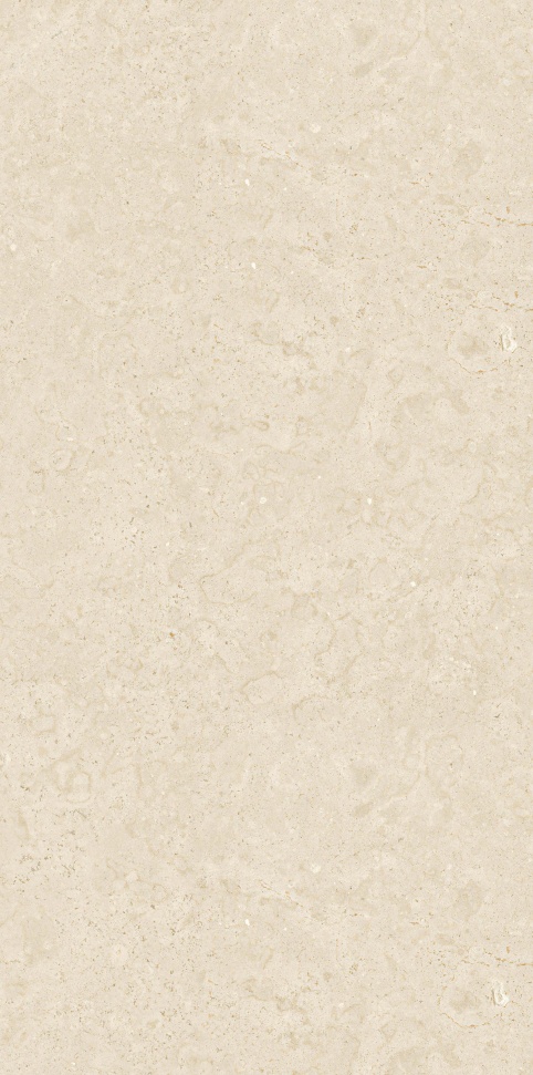 FH612826 莎士比亚