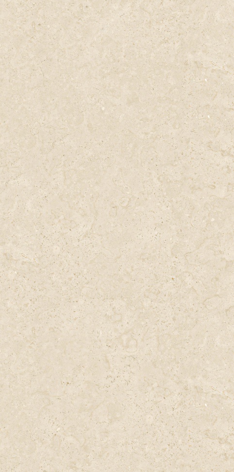 FH612826 莎士比亚