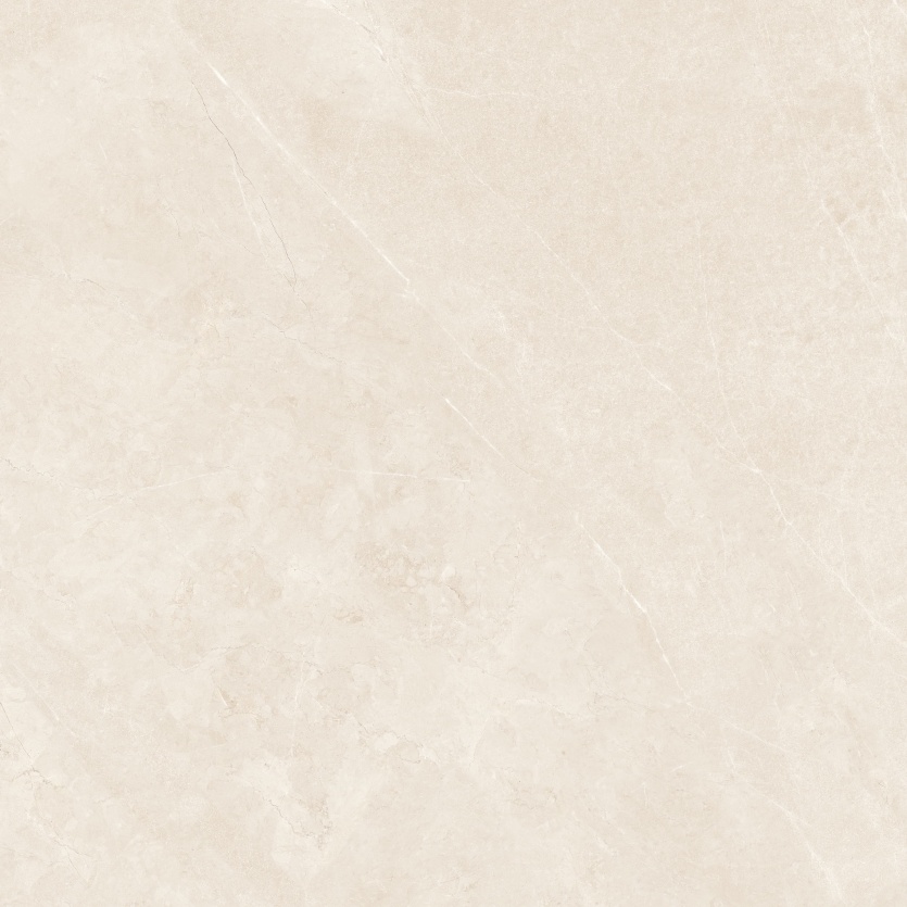 1212NS1069 巴宝莉米黄 