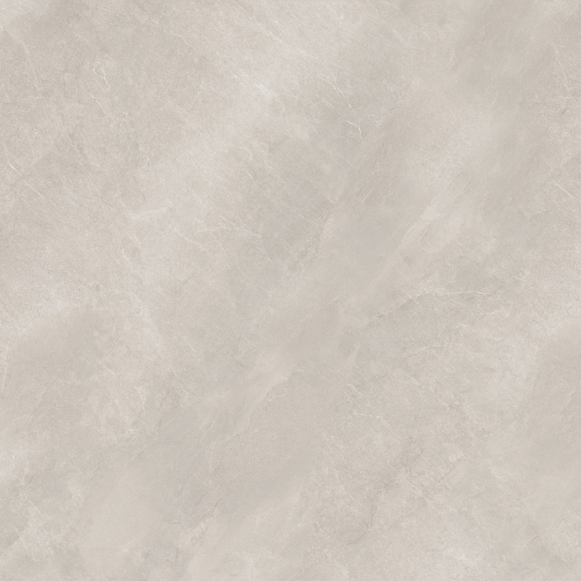 1212NS1032 博洛尼亚