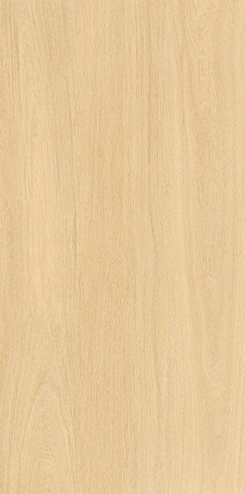 MW6121442 优雅榆木 