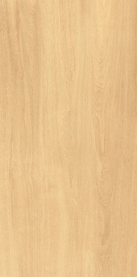 MW6121443 北美红樱