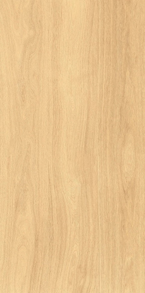 MW6121443 北美红樱