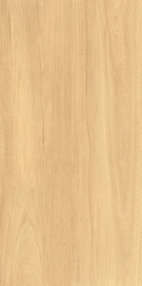 MW6121443 北美红樱