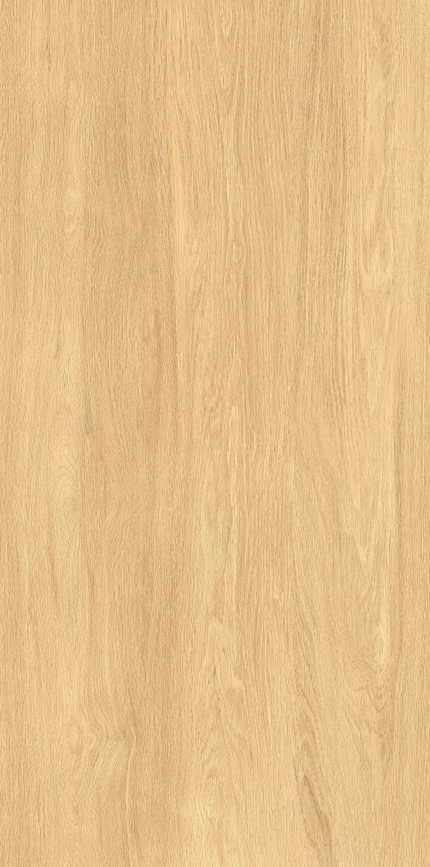 MW6121443 北美红樱