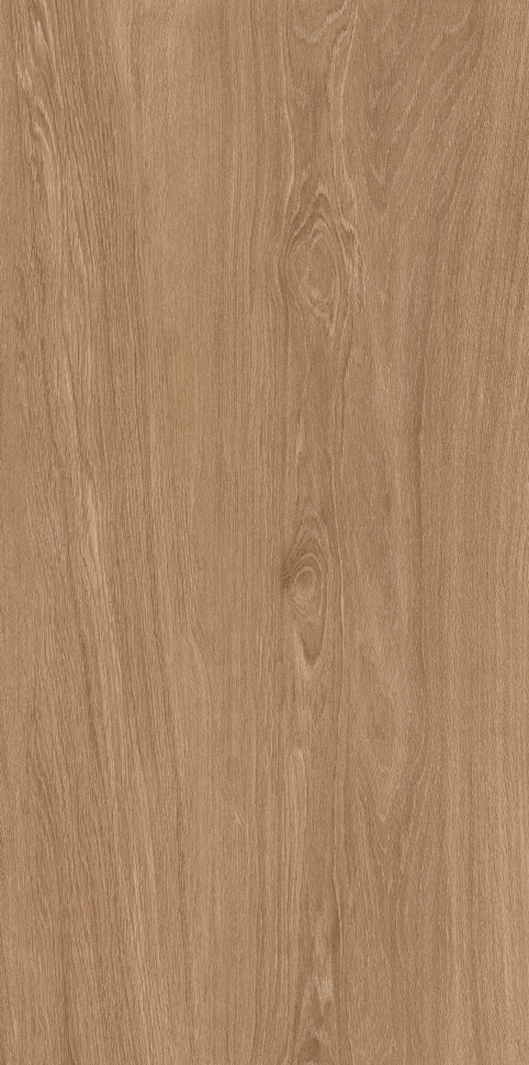 MW6121444 加州胡桃