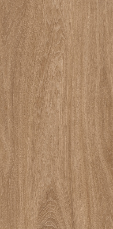 MW6121444 加州胡桃