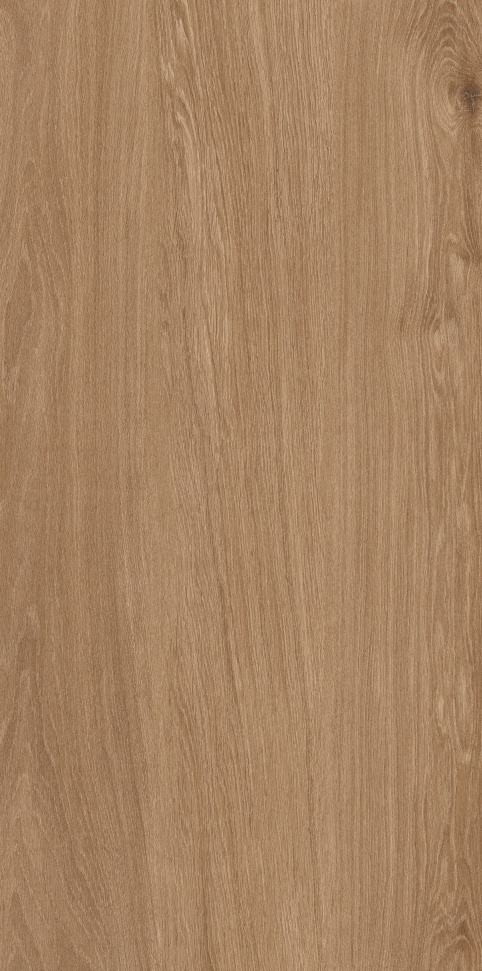 MW6121444 加州胡桃