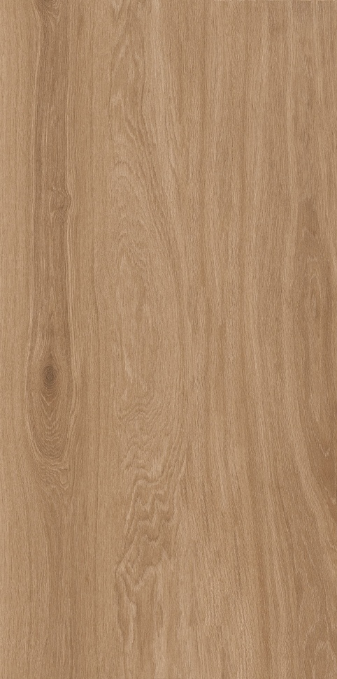 MW6121444 加州胡桃