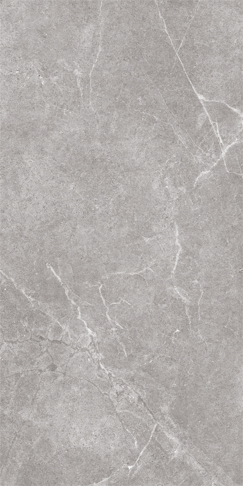 SR918812 文莱浅灰