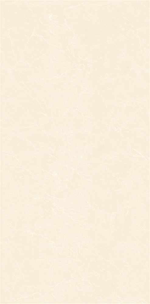 YB918619 顶级白玉兰 