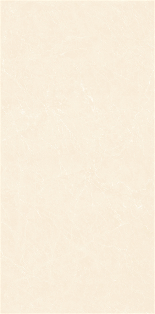 YB918619 顶级白玉兰 