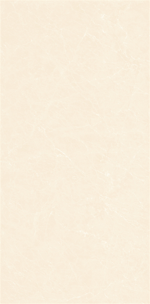 YB918619 顶级白玉兰 