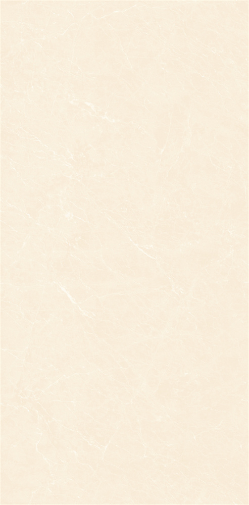 YB918619 顶级白玉兰 