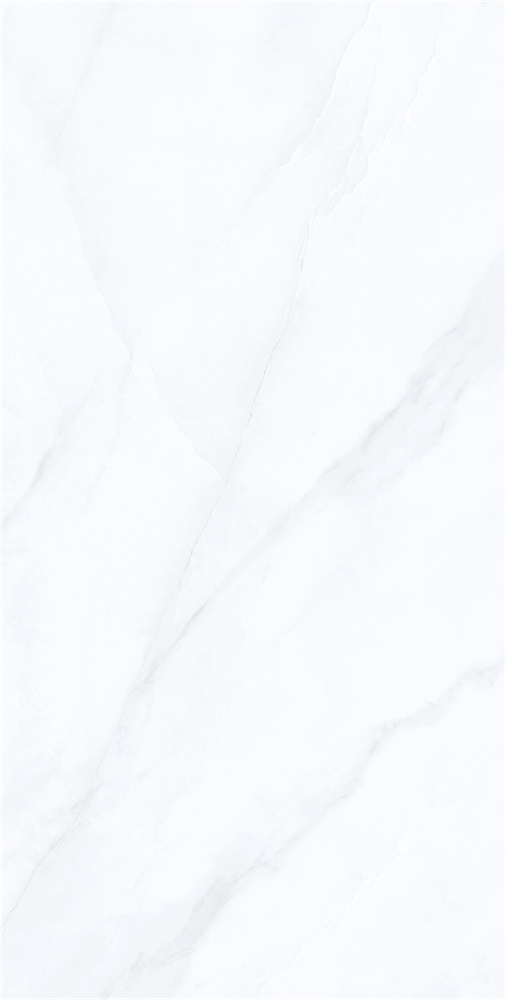 YB918622 范思哲白 