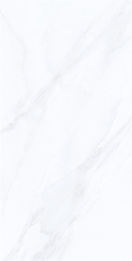 YB918622 范思哲白 