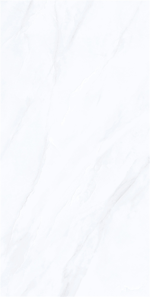 YB918622 范思哲白 