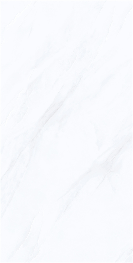 YB918622 范思哲白 