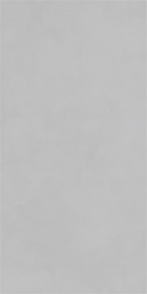 918YBSR1269 卢娜深灰