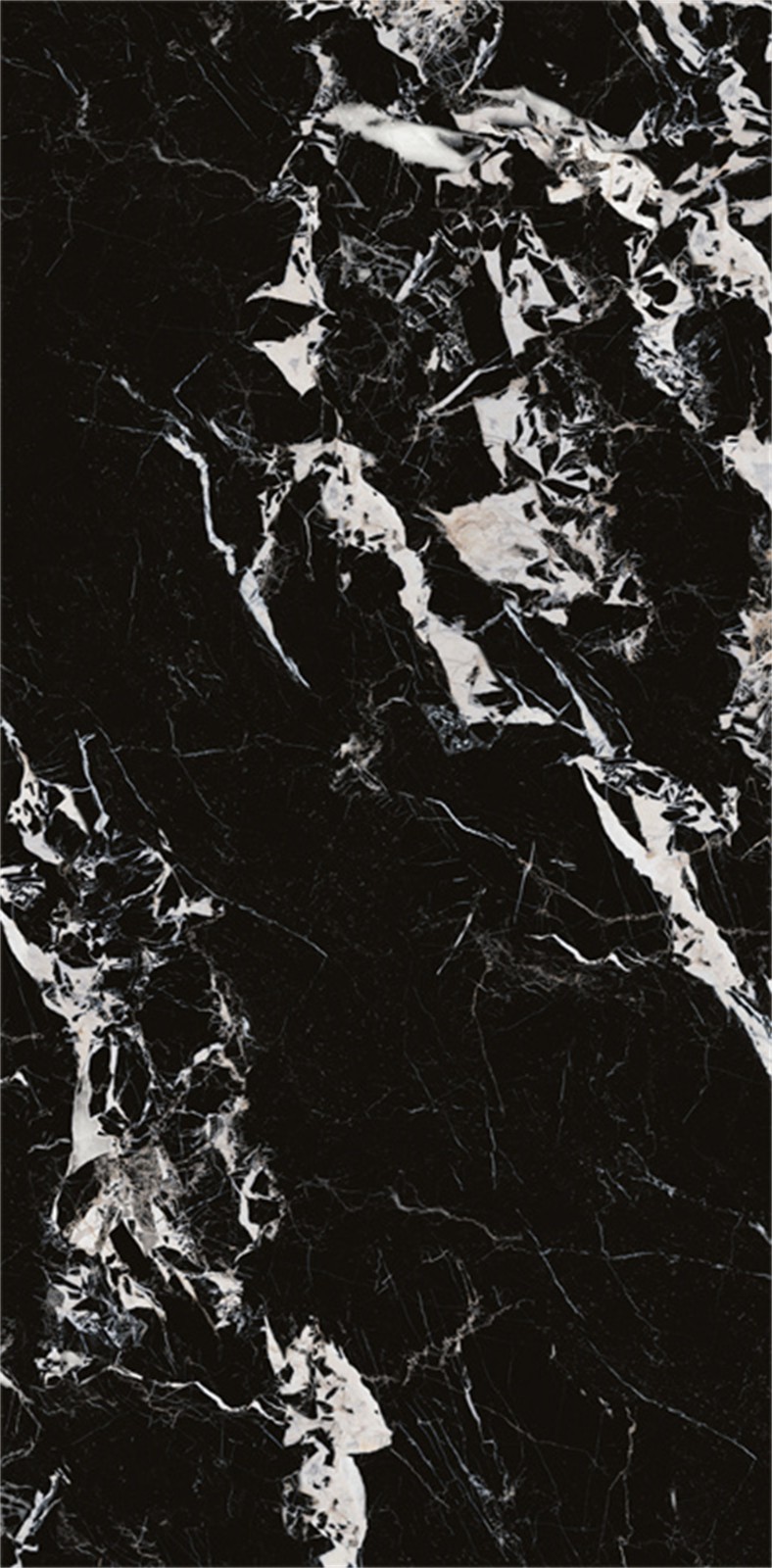 918ABKR1055 拿破仑黑 