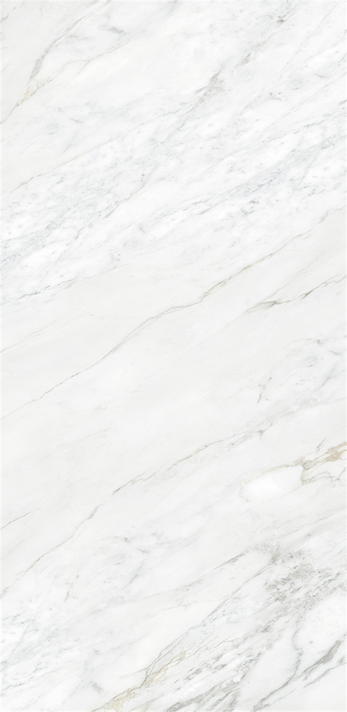 918Z1329 苏妮斯白 