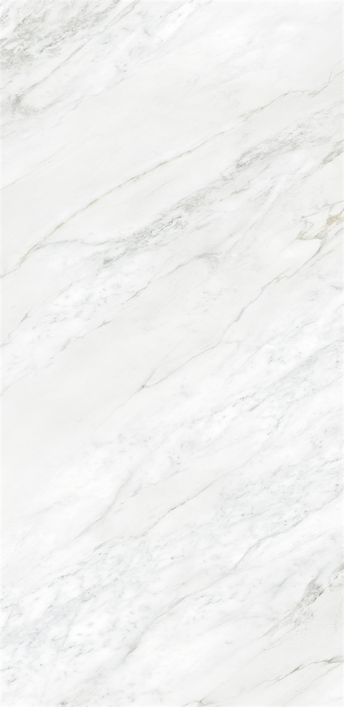 918Z1329 苏妮斯白 