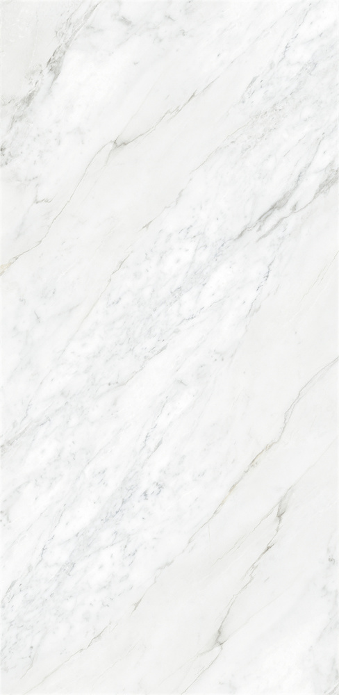 918Z1329 苏妮斯白 