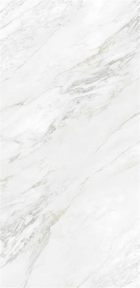 918Z1329 苏妮斯白 