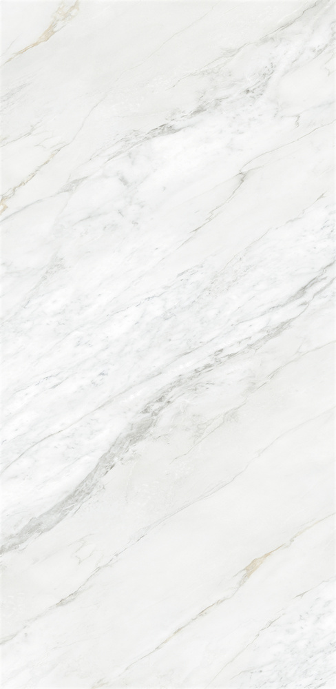 918Z1329 苏妮斯白 