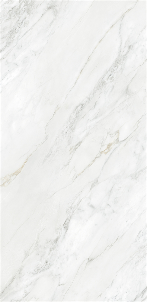 918Z1329 苏妮斯白 