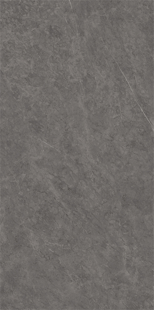 918SR1238 保加利亚黑