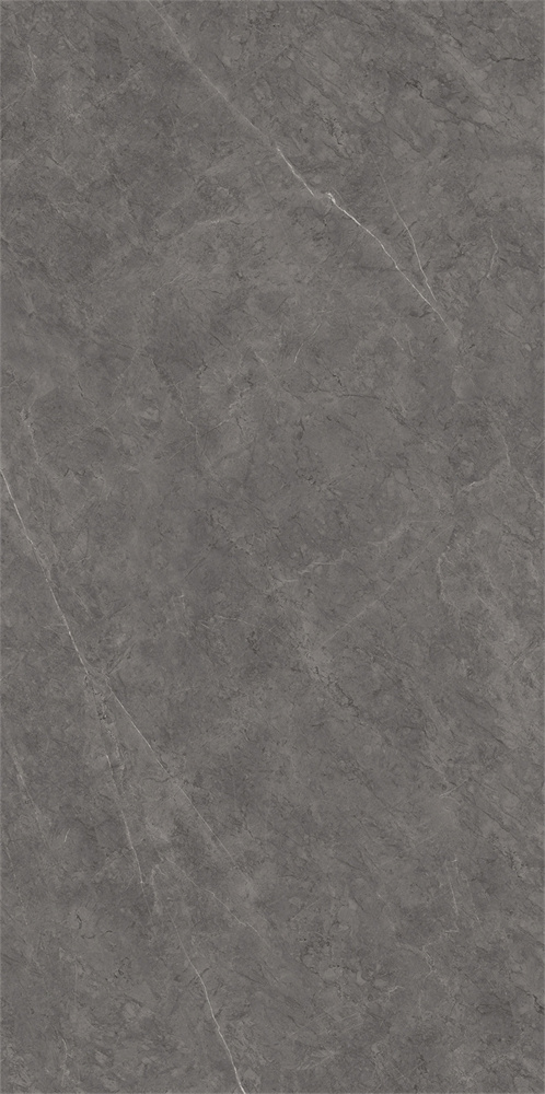 918SR1238 保加利亚黑